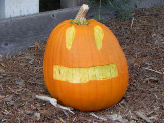 Square Smile, Nipomo Pumpkin Patch best carving idea